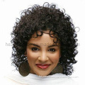 European Hair Short Kinky Curly Afro Wigs Lace Front Wig for Woman and Man